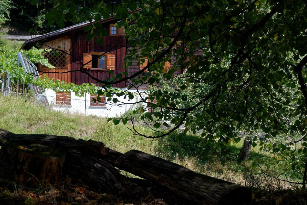 Landhaus Tenne Bartholomäberg Exterior foto